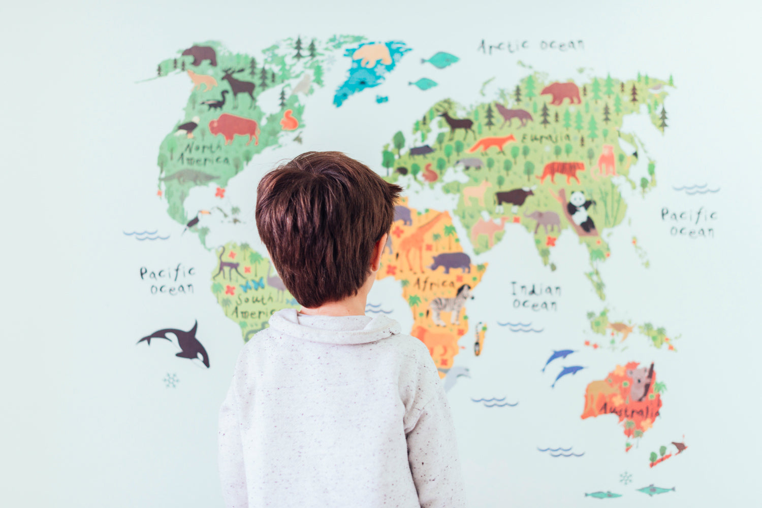 Dry Erase Map Boards For Fun Geography Lessons – scribbledo.com