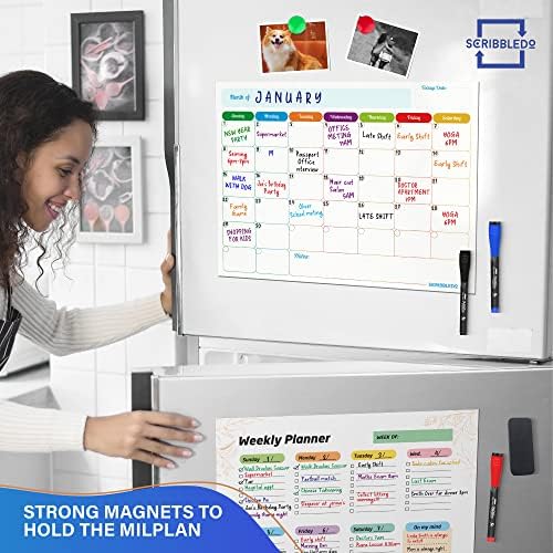 Magnetic Dry Erase Refrigerator Calendar Planner (Pack of 3)