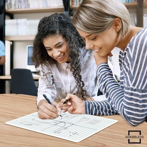 Double Sided Dry Erase XY Axis Coordinate Plane Lap Boards (5 Pack)