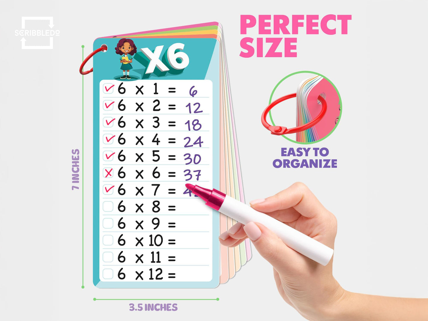 Dry Erase Multiplication Flash Cards – Math Facts 0–1
