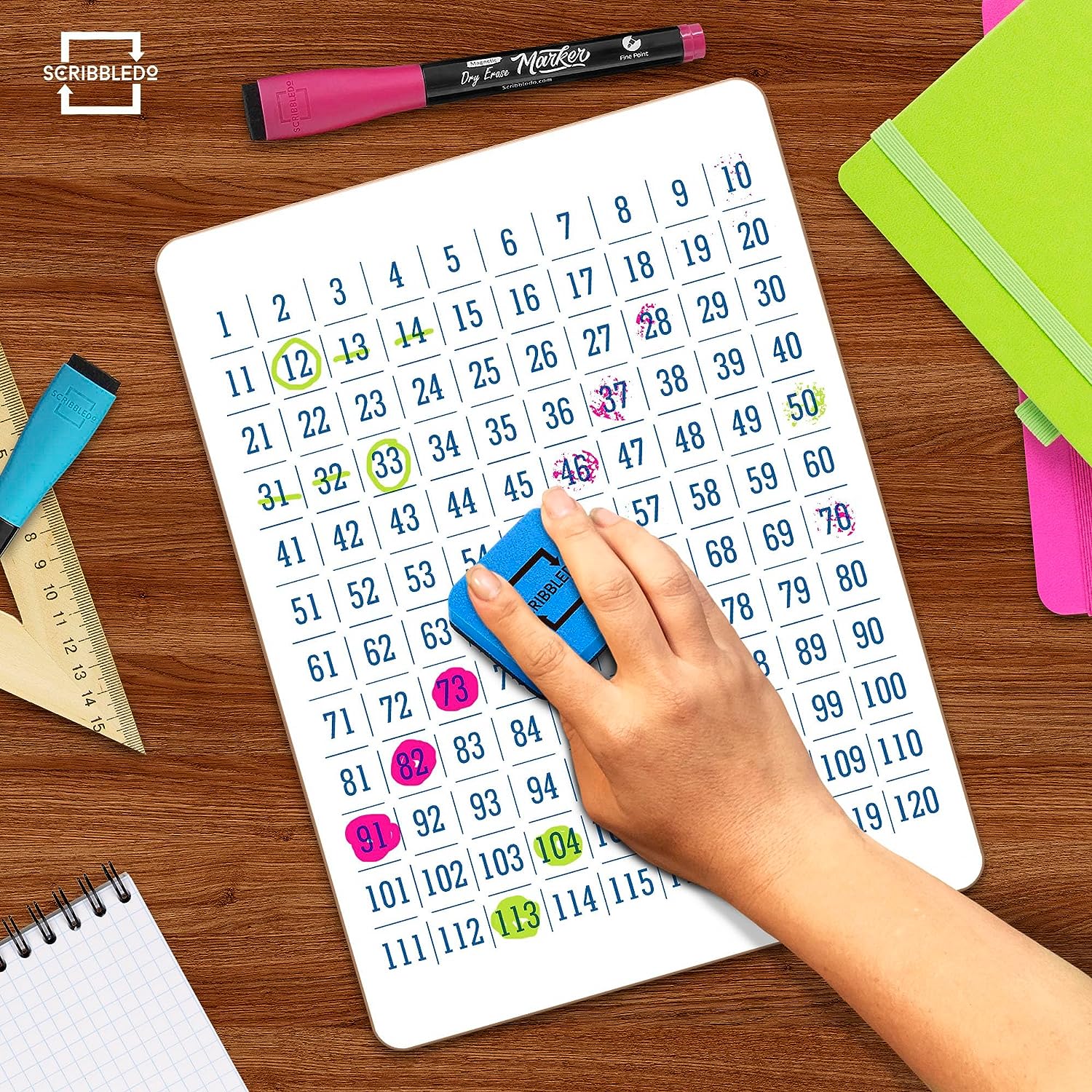 Dry Erase 100 Number Chart to Learn Counting 9